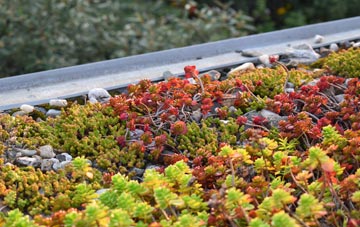 the cost of Haytons Bent green roof installation