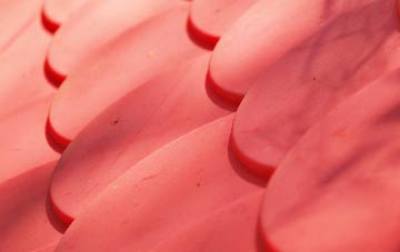 Haytons Bent plastic roof costs