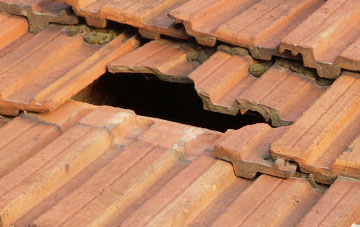 roof repair Haytons Bent, Shropshire